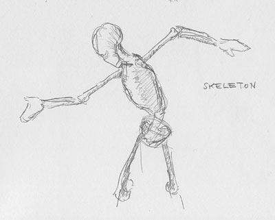 Bone Sketches